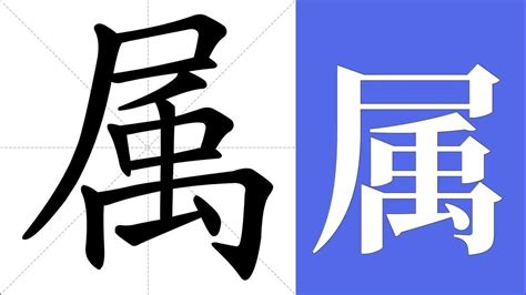 属 meaning|English translation of 属